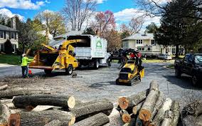 Best Tree Risk Assessment  in Highspire, PA